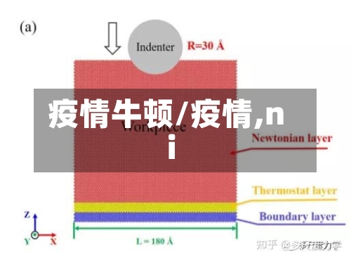 疫情牛顿/疫情,ni