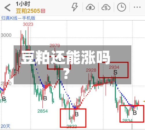豆粕还能涨吗？