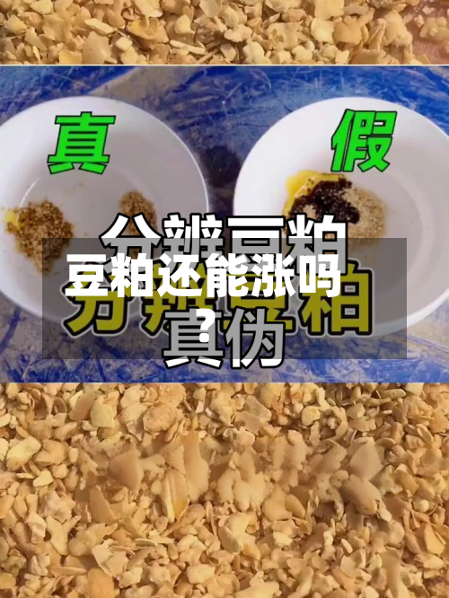 豆粕还能涨吗?-第3张图片
