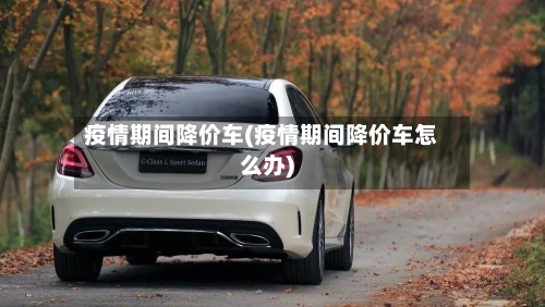 疫情期间降价车(疫情期间降价车怎么办)-第2张图片
