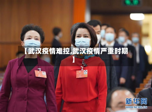 【武汉疫情难控,武汉疫情严重时期】-第2张图片