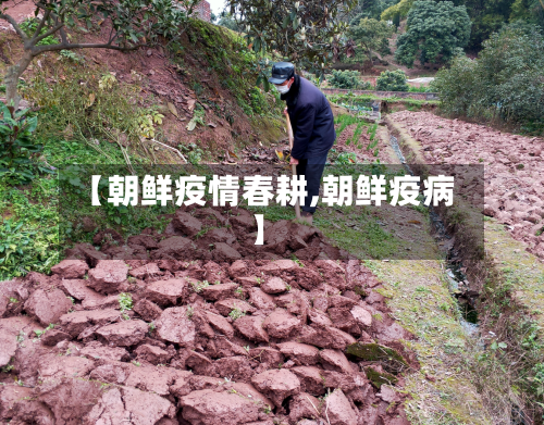 【朝鲜疫情春耕,朝鲜疫病】-第3张图片