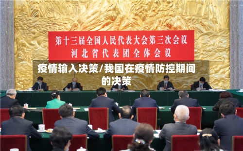 疫情输入决策/我国在疫情防控期间的决策