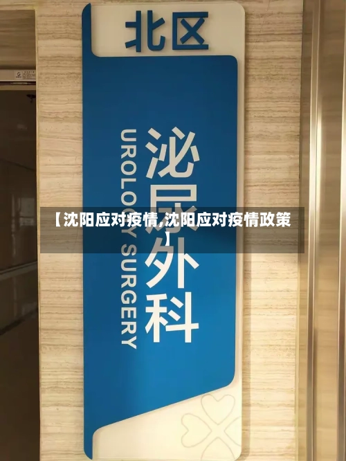 【沈阳应对疫情,沈阳应对疫情政策】