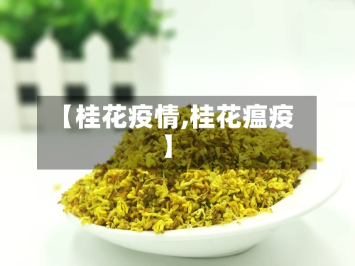 【桂花疫情,桂花瘟疫】-第2张图片