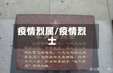 疫情烈属/疫情烈士