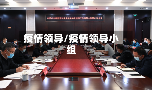 疫情领导/疫情领导小组-第2张图片