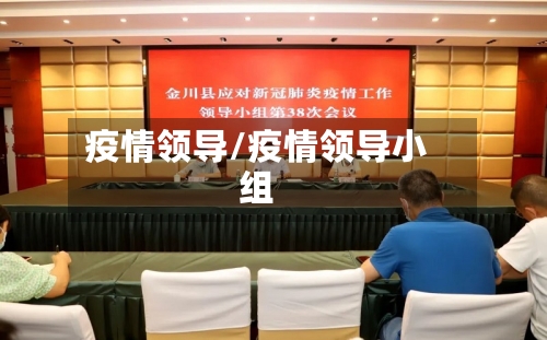 疫情领导/疫情领导小组