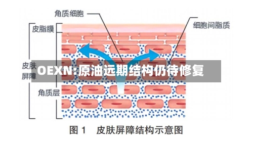 OEXN:原油远期结构仍待修复-第2张图片