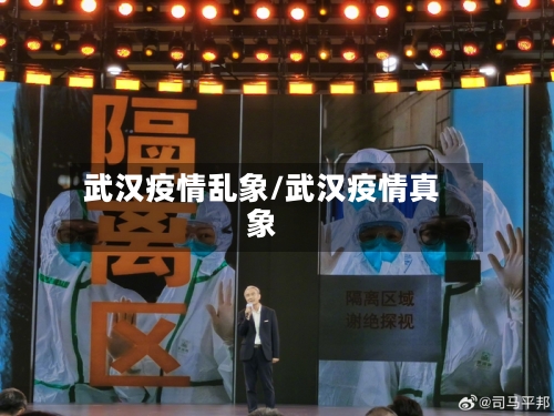 武汉疫情乱象/武汉疫情真象