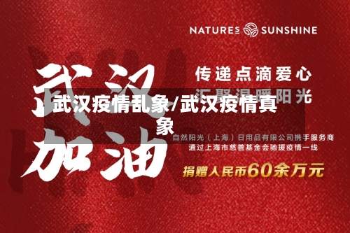 武汉疫情乱象/武汉疫情真象-第2张图片