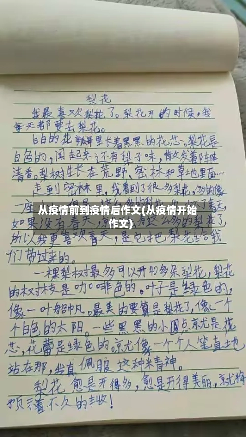 从疫情前到疫情后作文(从疫情开始作文)