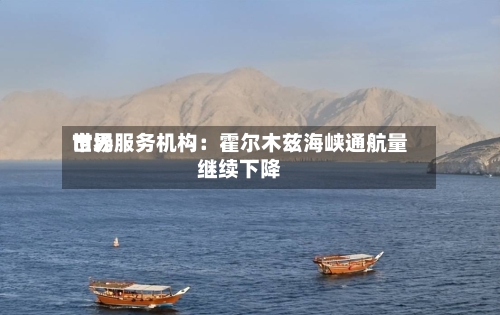 世界市场服务机构：霍尔木兹海峡通航量继续下降