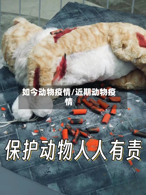 如今动物疫情/近期动物疫情-第2张图片
