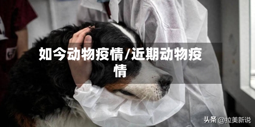 如今动物疫情/近期动物疫情