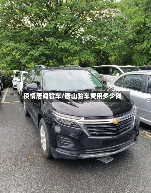 疫情唐海验车/唐山验车费用多少钱-第2张图片