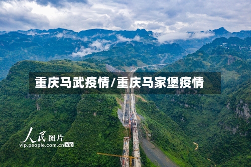重庆马武疫情/重庆马家堡疫情