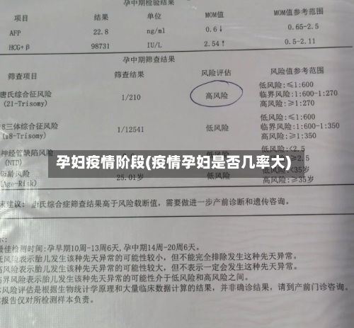 孕妇疫情阶段(疫情孕妇是否几率大)-第3张图片