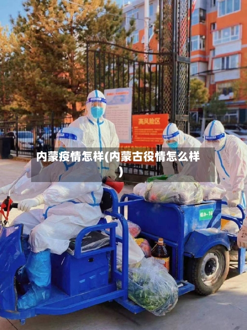 内蒙疫情怎样(内蒙古役情怎么样)