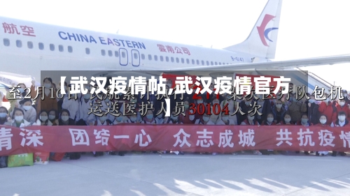 【武汉疫情帖,武汉疫情官方】-第3张图片