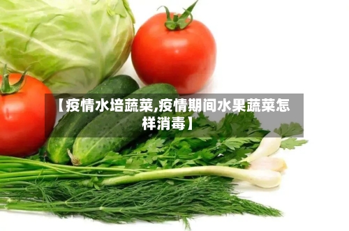 【疫情水培蔬菜,疫情期间水果蔬菜怎样消毒】