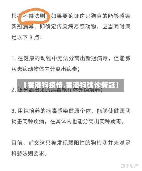 【香港狗疫情,香港狗确诊新冠】-第2张图片