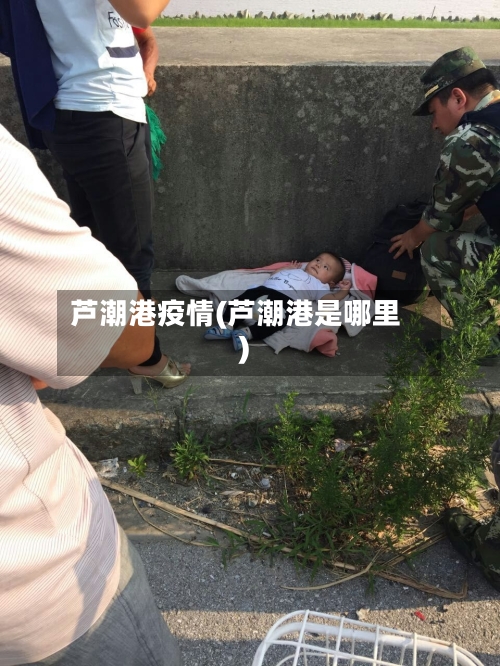 芦潮港疫情(芦潮港是哪里)