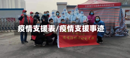 疫情支援表/疫情支援事迹