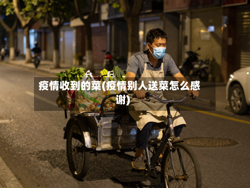 疫情收到的菜(疫情别人送菜怎么感谢)