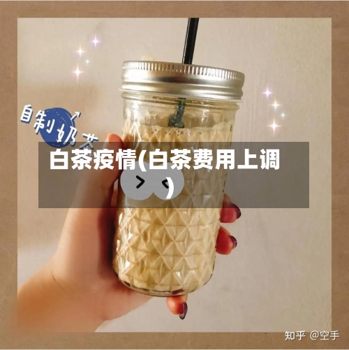 白茶疫情(白茶费用上调)