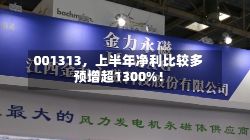 001313	，上半年净利比较多预增超1300%！-第2张图片