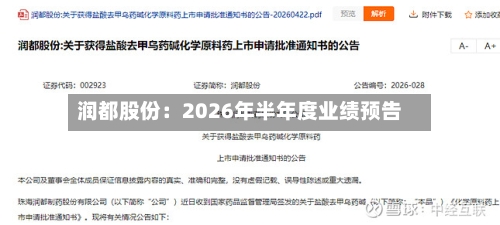 润都股份：2026年半年度业绩预告