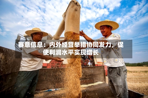 赛意信息：内外经营举措协同发力，促使利润水平实现增长