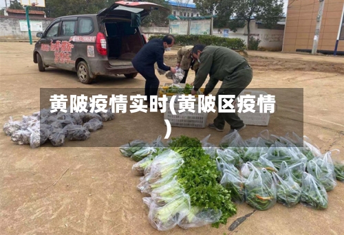 黄陂疫情实时(黄陂区疫情)