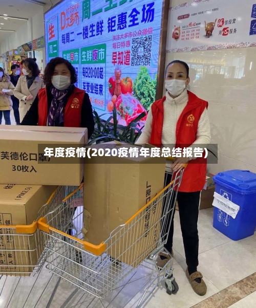 年度疫情(2020疫情年度总结报告)