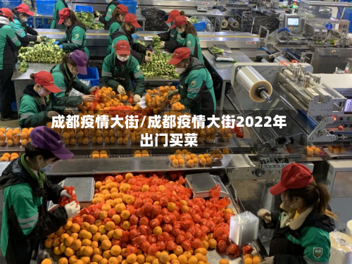 成都疫情大街/成都疫情大街2022年出门买菜-第2张图片