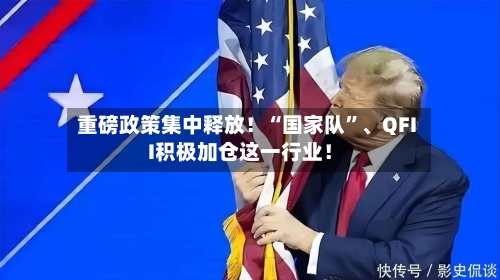 重磅政策集中释放！“国家队”、QFII积极加仓这一行业！