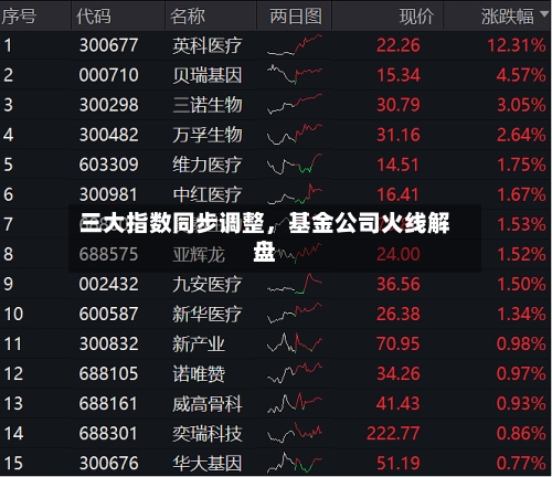 三大指数同步调整，基金公司火线解盘-第3张图片