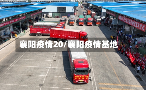襄阳疫情20/襄阳疫情基地