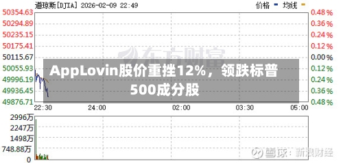 AppLovin股价重挫12%，领跌标普500成分股-第1张图片