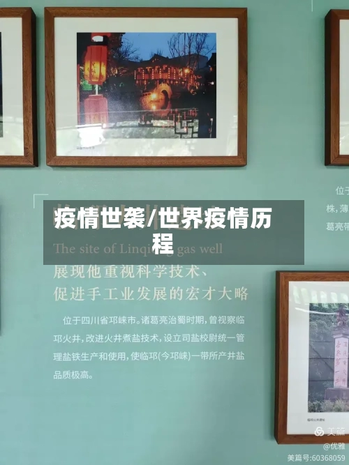疫情世袭/世界疫情历程