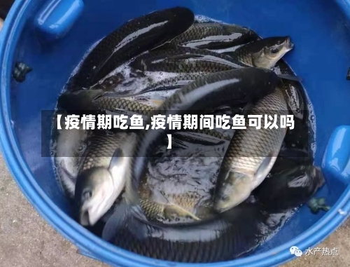 【疫情期吃鱼,疫情期间吃鱼可以吗】-第2张图片