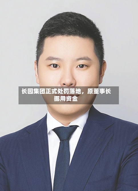 长园集团正式处罚落地，原董事长挪用资金