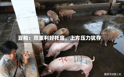 豆粕：双重利好托底	，上方压力犹存-第2张图片