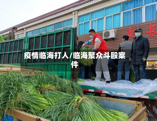 疫情临海打人/临海聚众斗殴案件