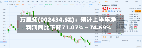 万里扬(002434.SZ):预计上半年净利润同比下降71.07%~74.69%-第2张图片