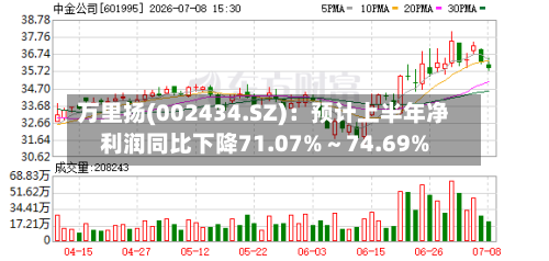 万里扬(002434.SZ):预计上半年净利润同比下降71.07%~74.69%-第3张图片