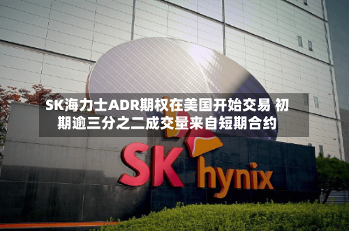 SK海力士ADR期权在美国开始交易 初期逾三分之二成交量来自短期合约