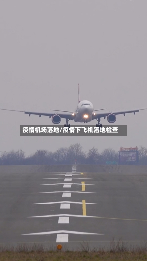 疫情机场落地/疫情下飞机落地检查
