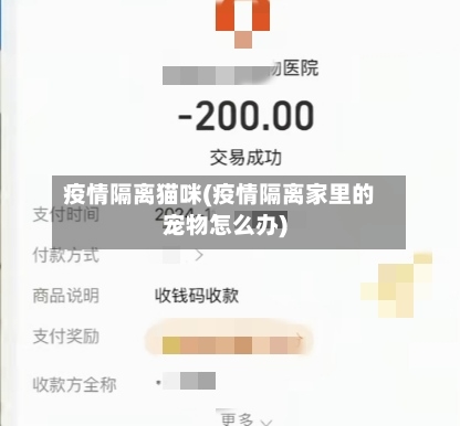 疫情隔离猫咪(疫情隔离家里的宠物怎么办)